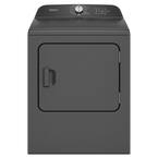 DRYER 11 cycles, 4 temps, steam refresh, time dry, automatic dry, wrinkle prevent w/static reduce - REPLACES YTD74E2PNDG